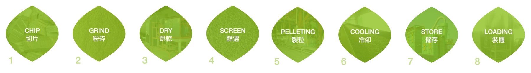 木質顆粒製程流程八步驟:切片 CHIP、粉碎 GRIND、烘乾 DRY、篩選 SCREEN、造粒 PELLETING、冷卻 COOLING、儲存 STORE、裝櫃 LOADING